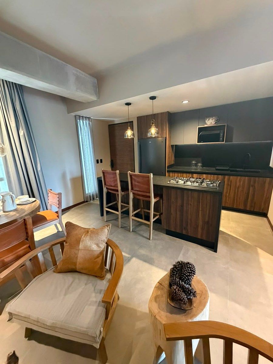 DEPARTAMENTO AMUEBLADO EN VENTA EN COL. AMERICANA - foto 4