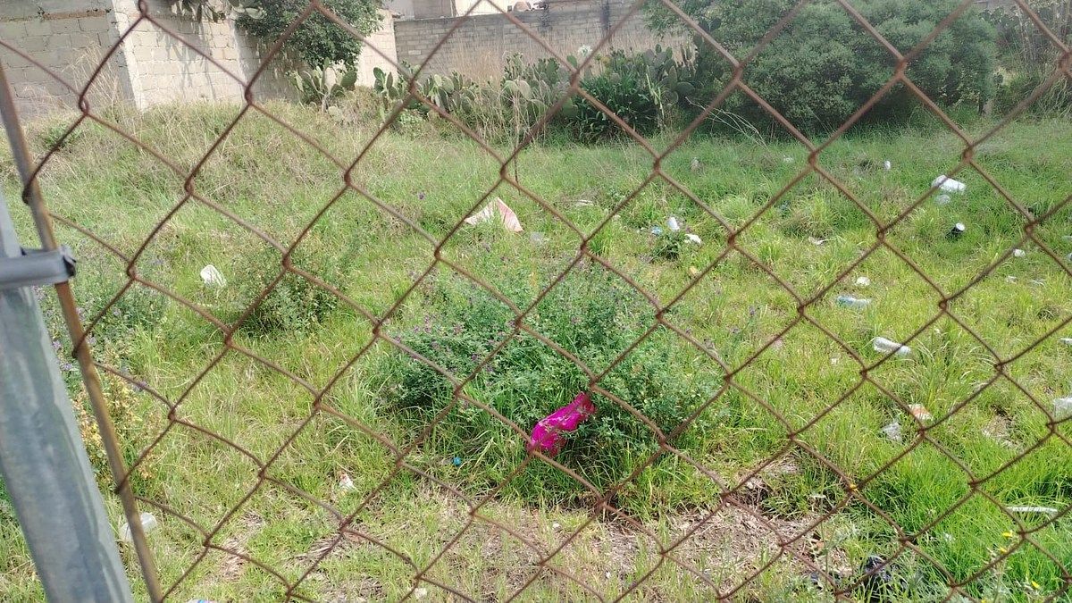 Terreno en Santa María Rayón Centro, Rayón, foto 4 de 6