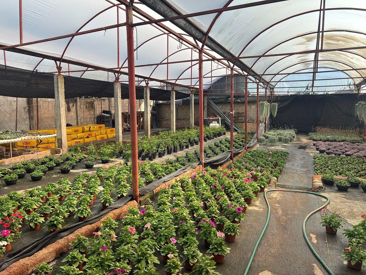 Terreno de 2,309 mts2 en venta en la entrada de Berriozábal a tan solo 4 cuadras