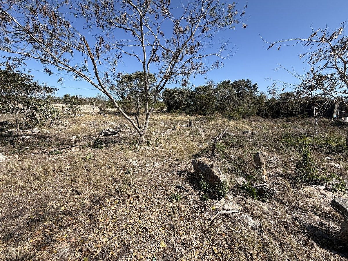 Terreno en Chichi Suárez, Mérida, foto 2 de 8