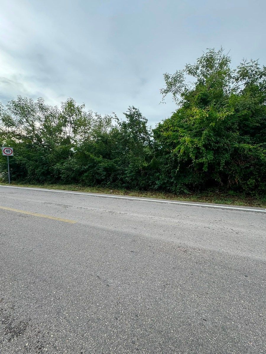 Lote em Tamanché, Mérida, foto 8 de 9