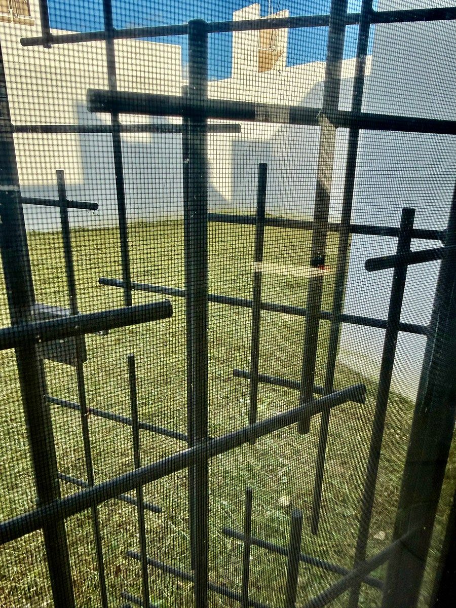 Casa em Gran San Pedro Cholul, Mérida, foto 12 de 35