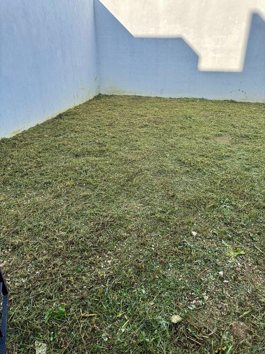 Casa em Gran San Pedro Cholul, Mérida, foto 13 de 35
