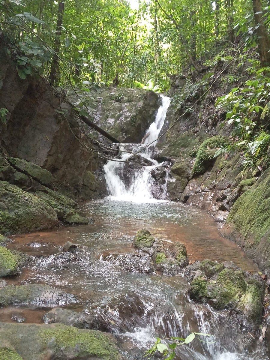 Land in Península de Osa, photo 28 of 28