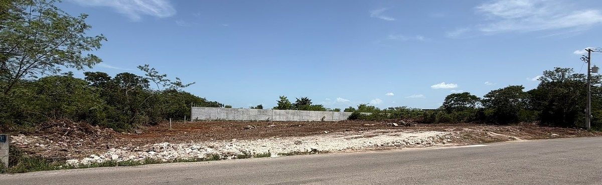 LAND FOR RENT ON MAIN AVENUE (NORTH WALK), photo 1 of 4
