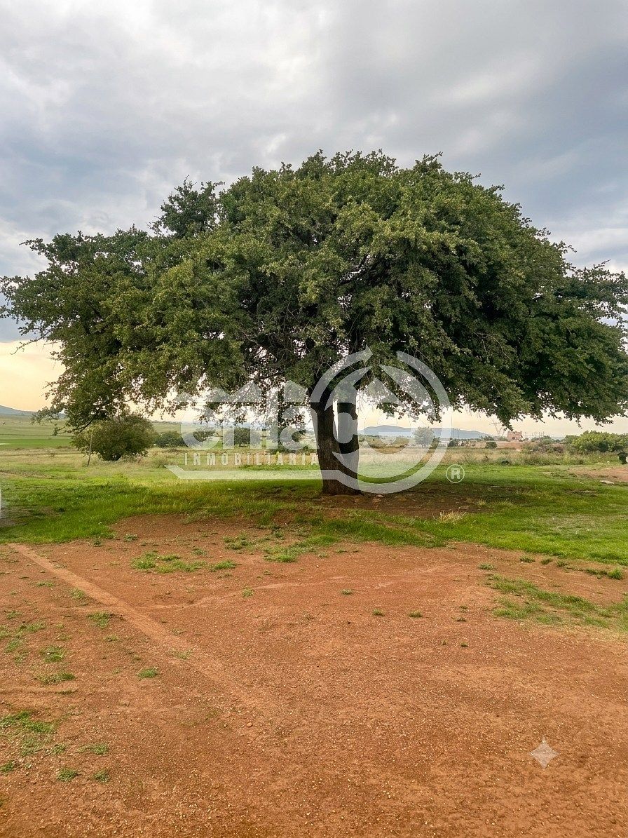 Lote em Fraccionamiento Paraíso de La Sierra, Durango, foto 6 de 6