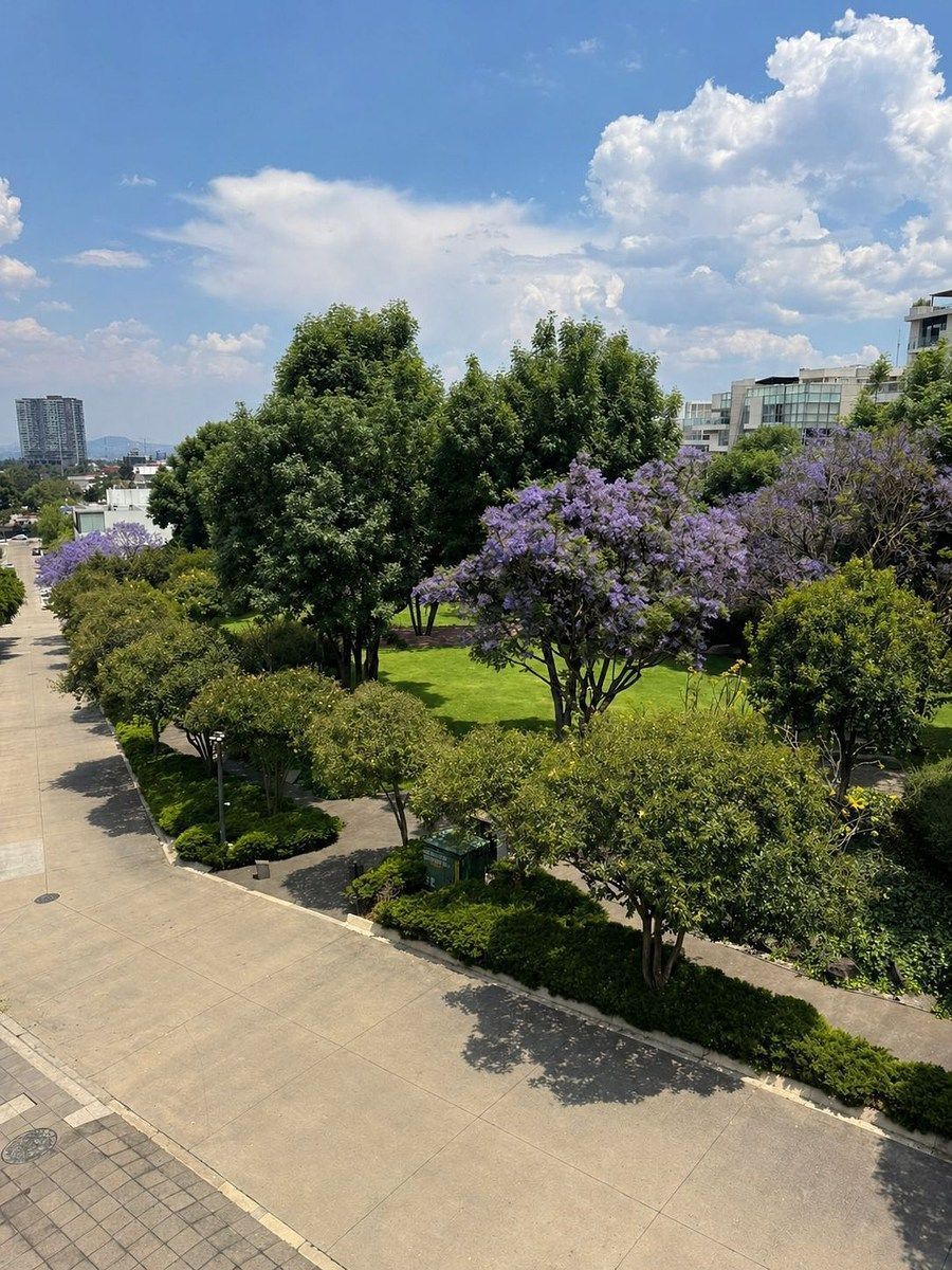 Casa en condominio en Lomas del Pedregal, Tlalpan, foto 27 de 27