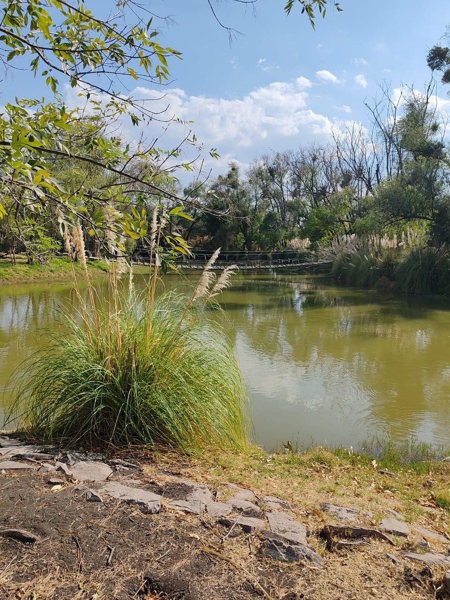 Lote em El Encino, Huimilpan, foto 2 de 5