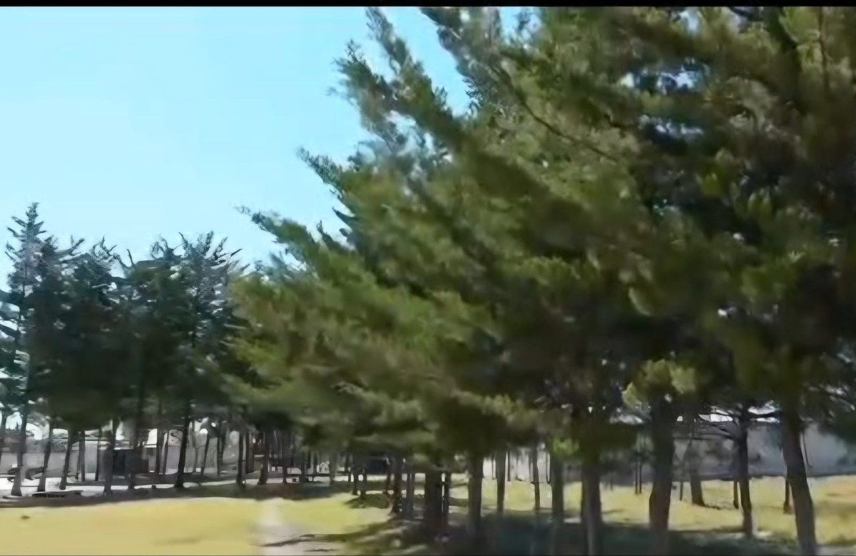 Lot in Los Sabinos, Comitán de Domínguez, photo 6 of 7