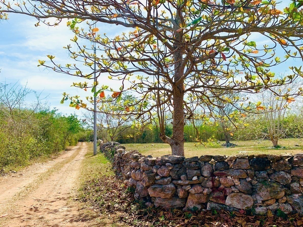 Terreno en Yobain, Yobaín, foto 8 de 34