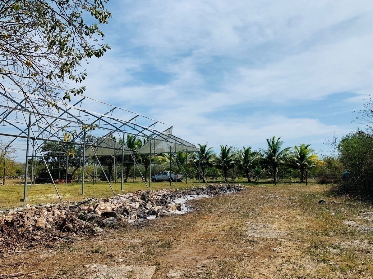 Terreno en Yobain, Yobaín, foto 10 de 34