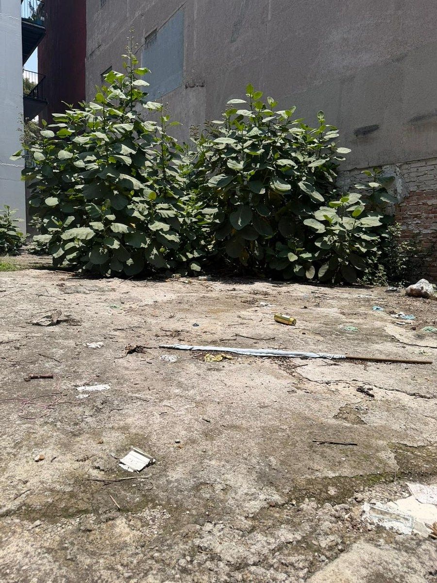 Lote em Roma Sur, Cuauhtémoc, foto 5 de 7