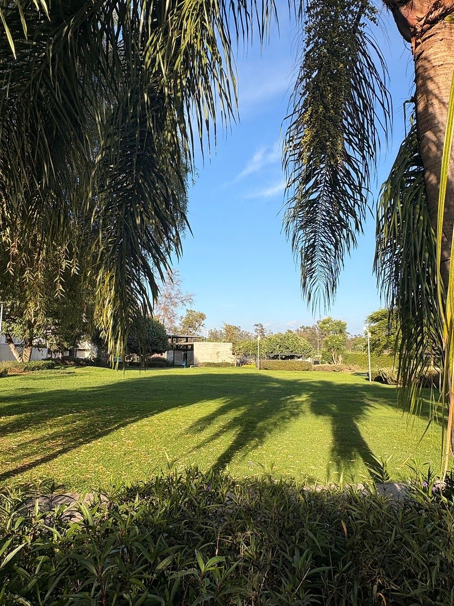 House in Gated Community in Arbolada Bosques de Santa Anita, Tlajomulco de Zúñiga, photo 15 of 17