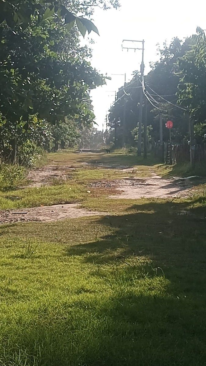 Terreno en venta en Banderas, foto 1 de 1