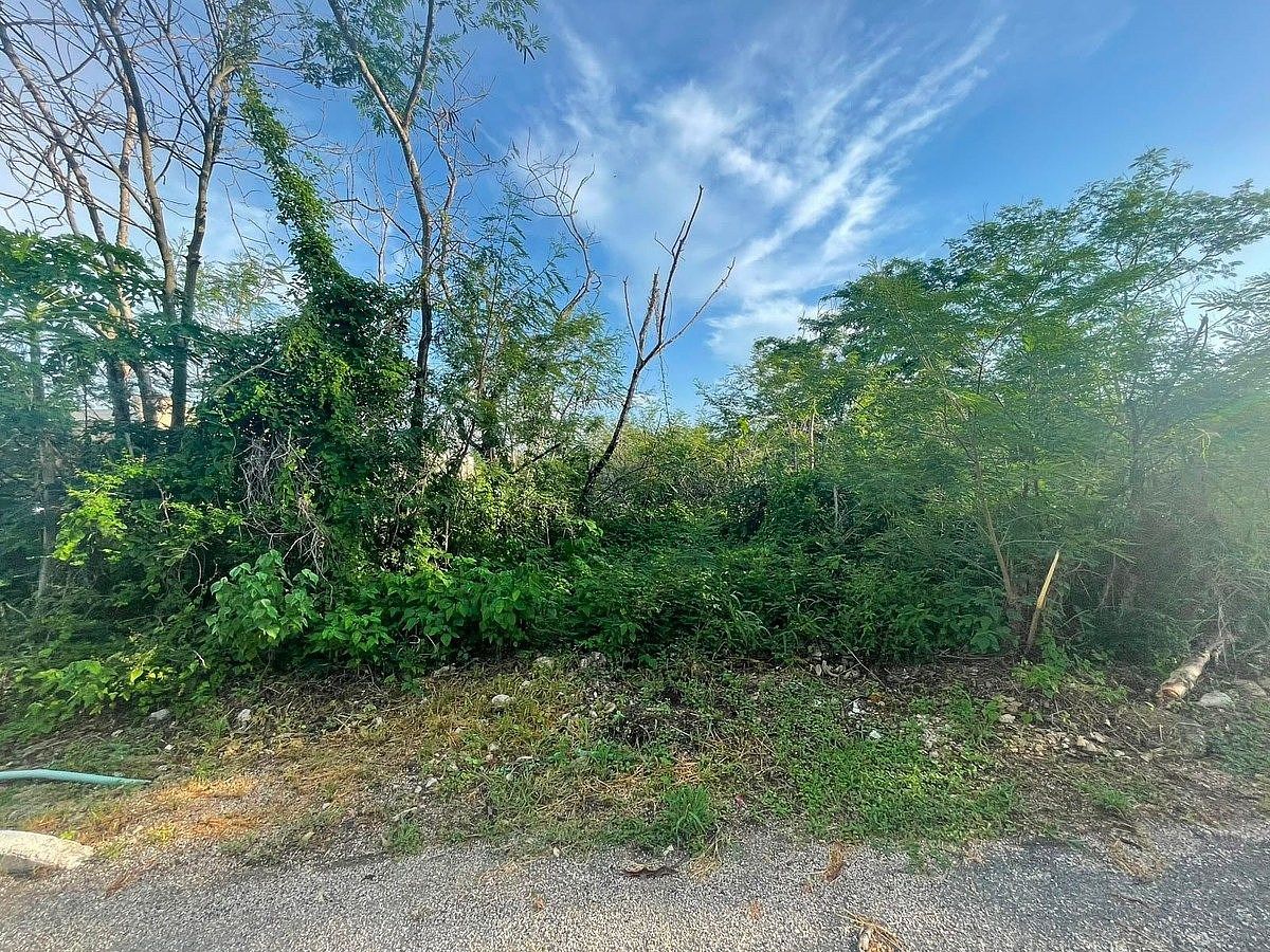 Lote em Conkal, Conkal, foto 8 de 18