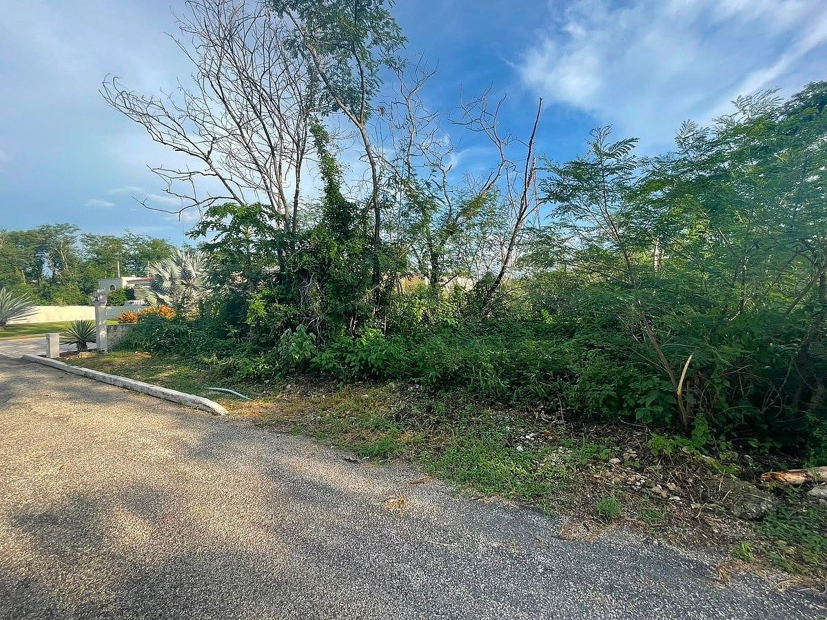 Lote em Conkal, Conkal, foto 10 de 18