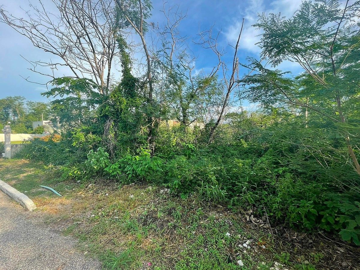 Lote em Conkal, Conkal, foto 15 de 18
