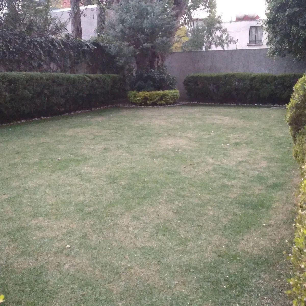 Apartamento em Toriello Guerra, Tlalpan, foto 12 de 12
