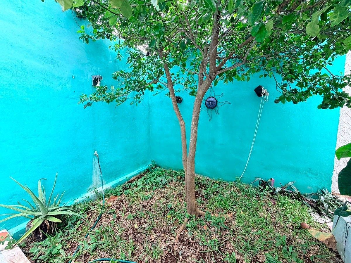 Casa em Francisco de Montejo, Mérida, foto 33 de 33