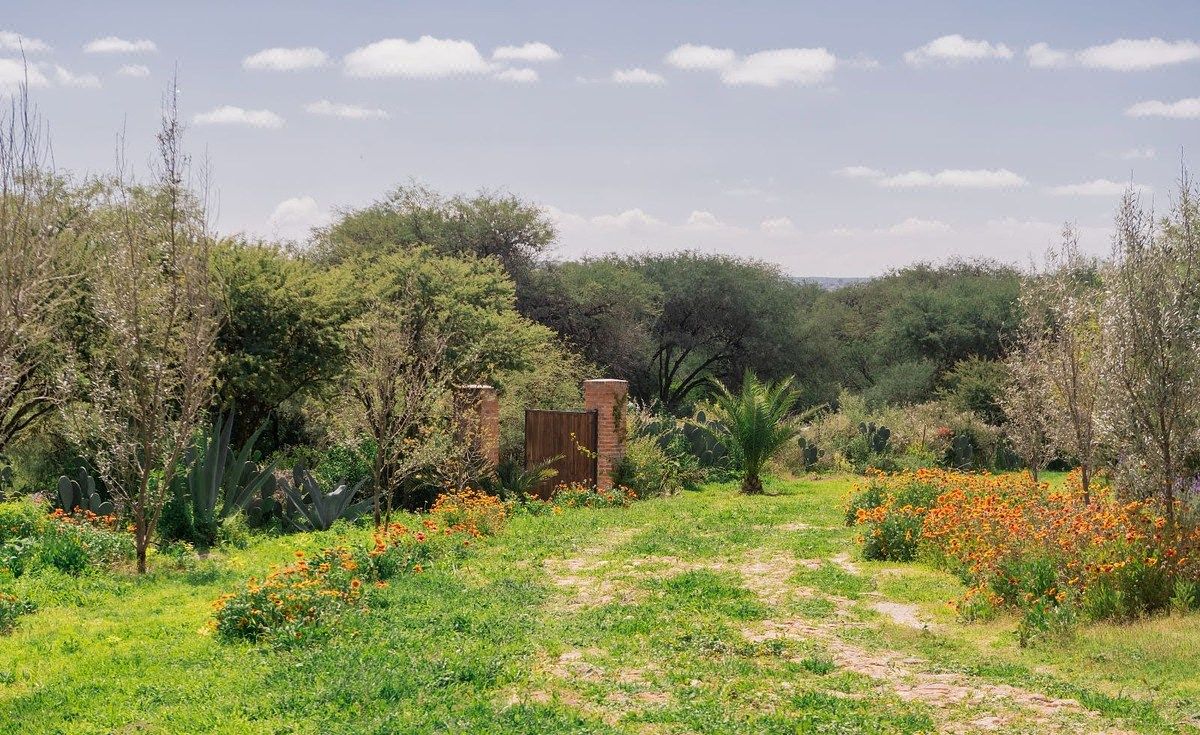 Casa en Rancho Nuevo (Rancho Nuevo de Banda), San Miguel de Allende, foto 7 de 28