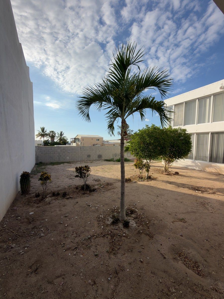 JARDIN, foto 26 de 35