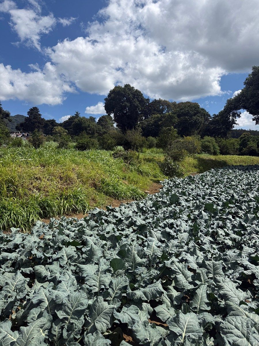 Terreno en Santa Lucía Milpas Altas, Santa Lucía Milpas Altas, foto 2 de 11