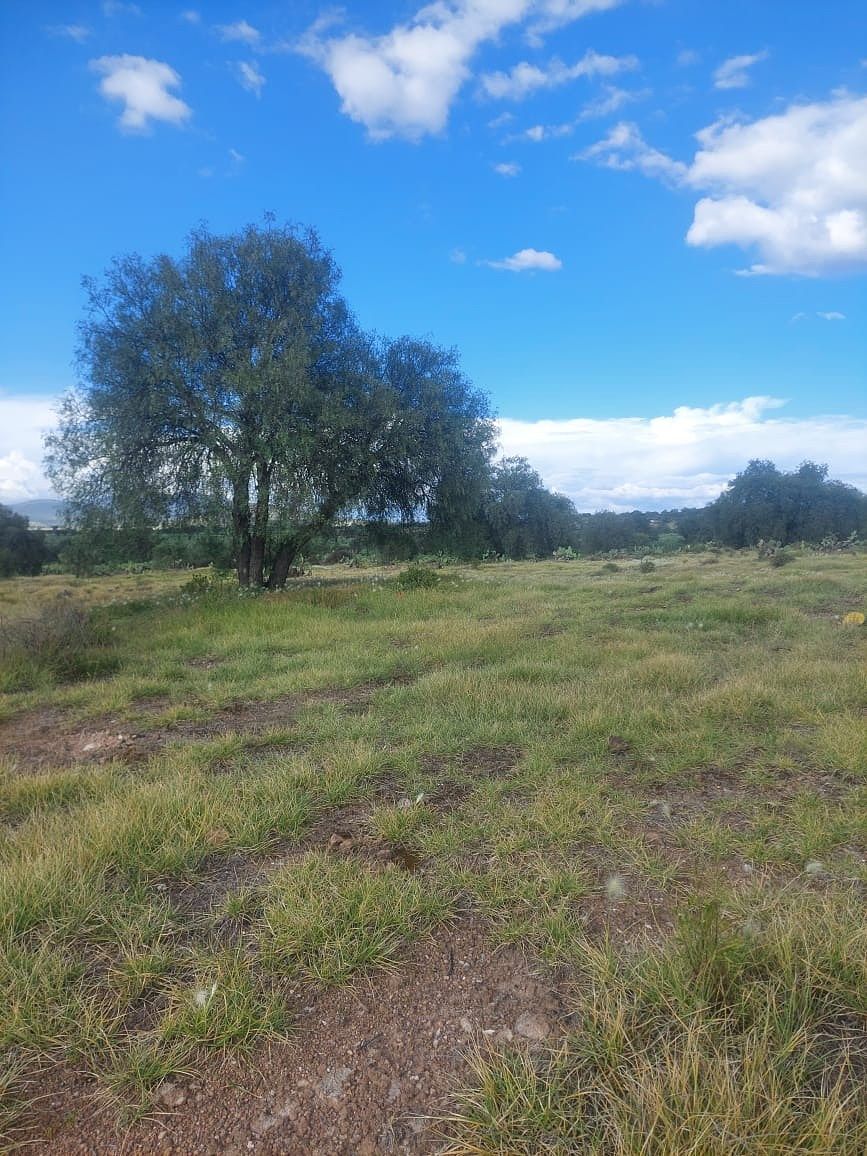 Lot in San Juan Teacalco, Temascalapa, photo 3 of 10