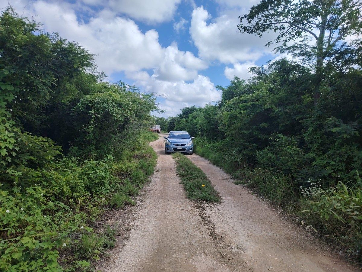 Lot in Komchen, Mérida, photo 5 of 7