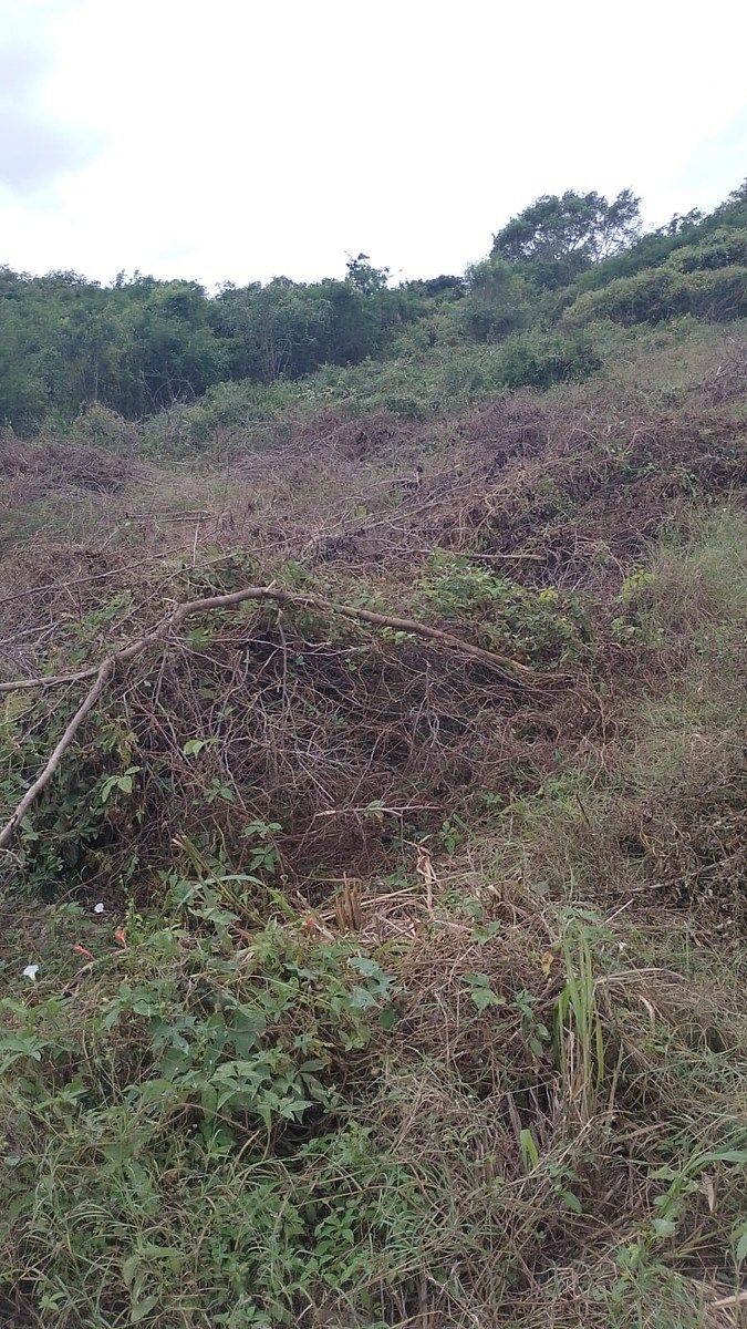 Lot in Komchen, Mérida, photo 3 of 7