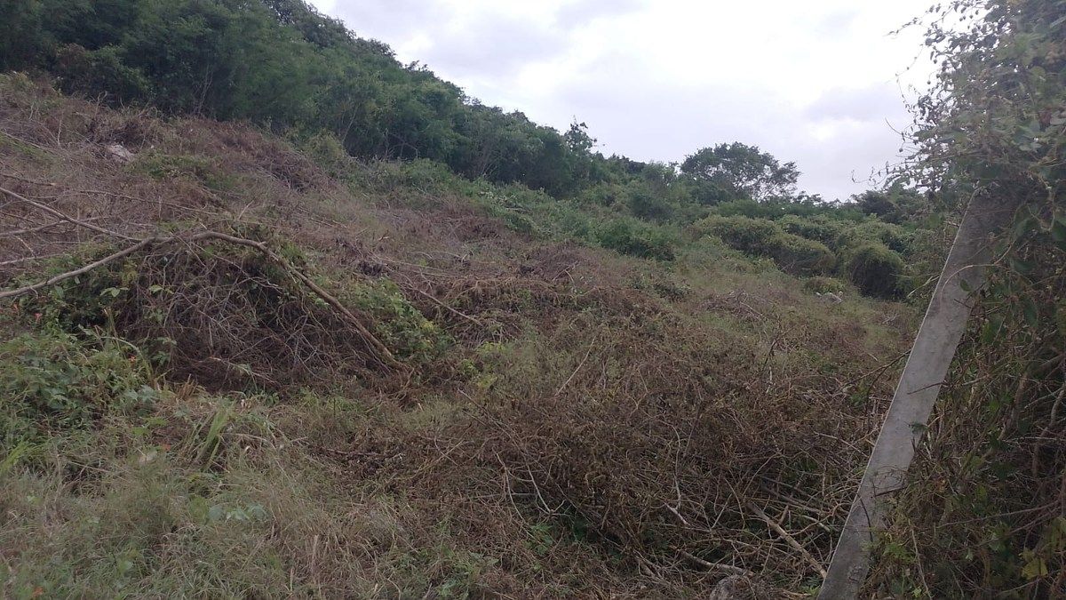 SALE LAND KONCHEN, photo 1 of 7