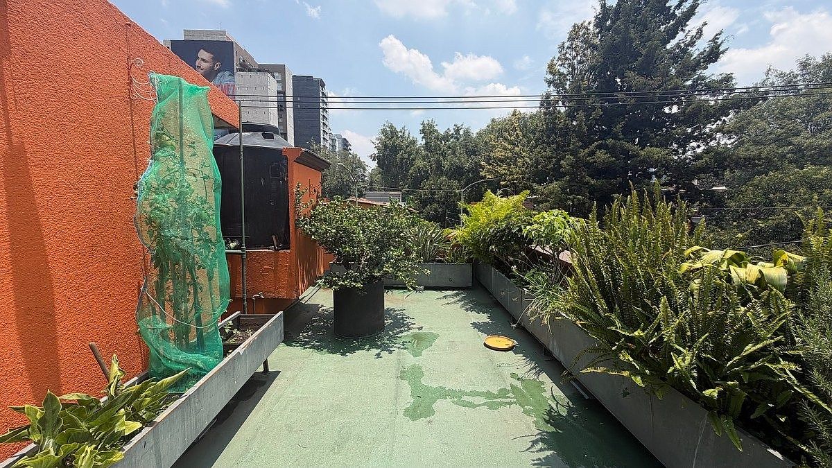 Casa em Guadalupe Inn, Álvaro Obregón, foto 28 de 29