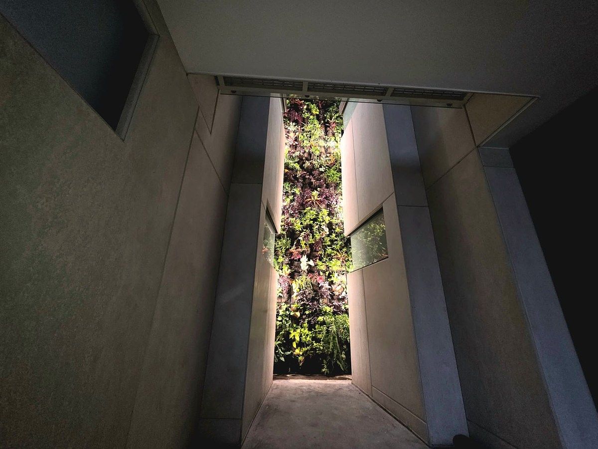 Apartamento em Lomas Doctores (Chapultepec Doctores), Tijuana, foto 17 de 18