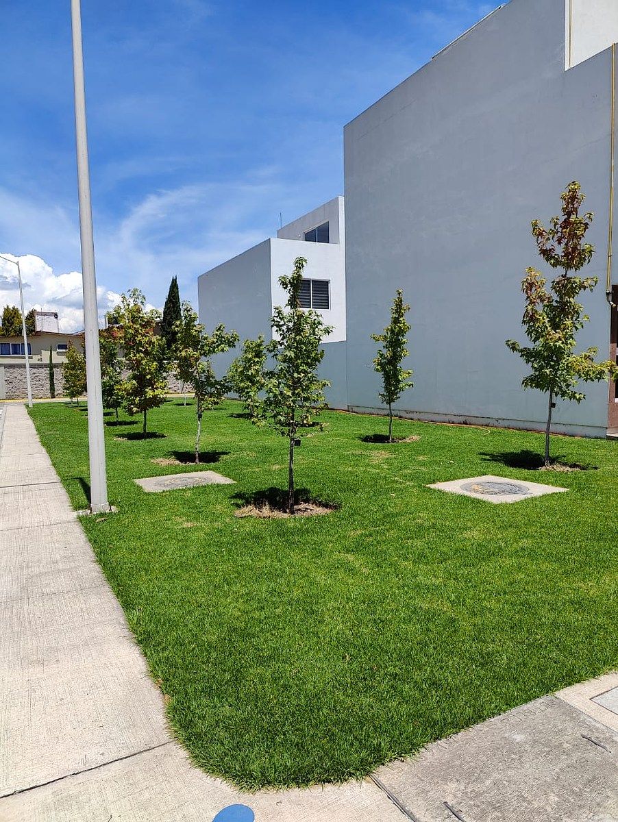 AREA VERDE, photo 23 of 47