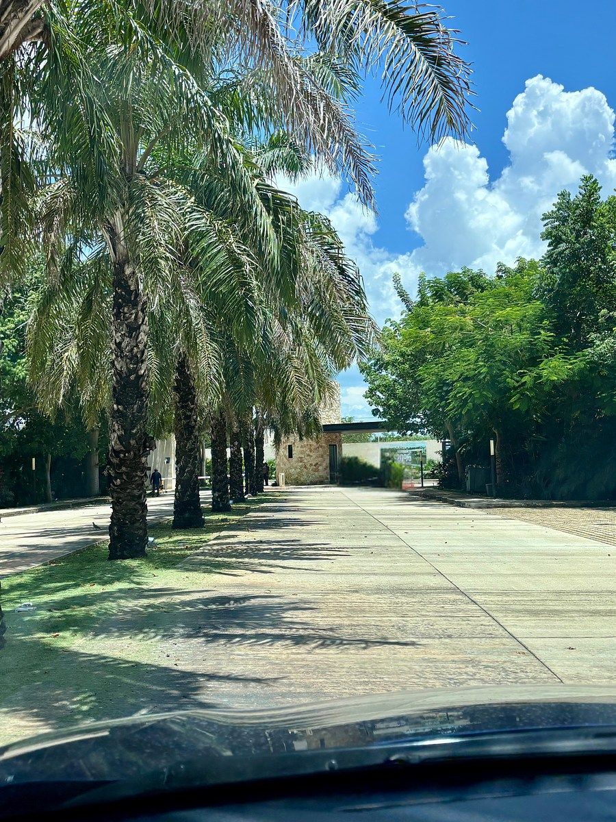 Casa em condomínio fechado em Cholul, Mérida, foto 4 de 18