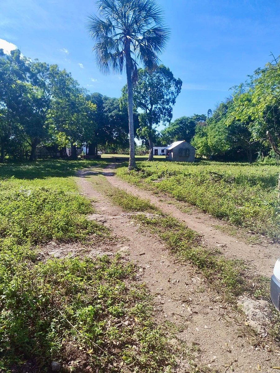 RANCHO GANADERO DE 700 HECTÁREAS Río Lagartos, Yucatán, foto 1 de 12