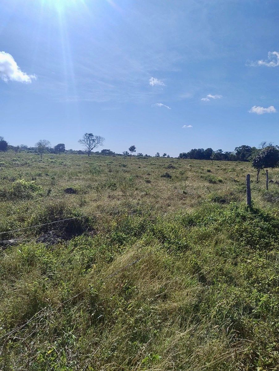 Rancho en Rio Lagartos, Río Lagartos, foto 2 de 12
