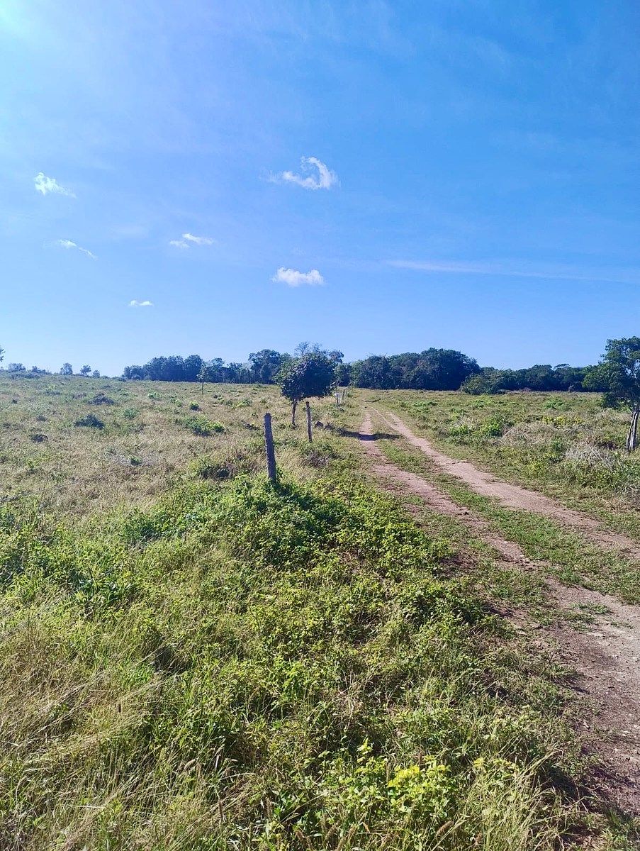 Rancho en Rio Lagartos, Río Lagartos, foto 3 de 12