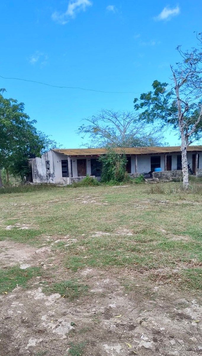 Rancho en Rio Lagartos, Río Lagartos, foto 6 de 12