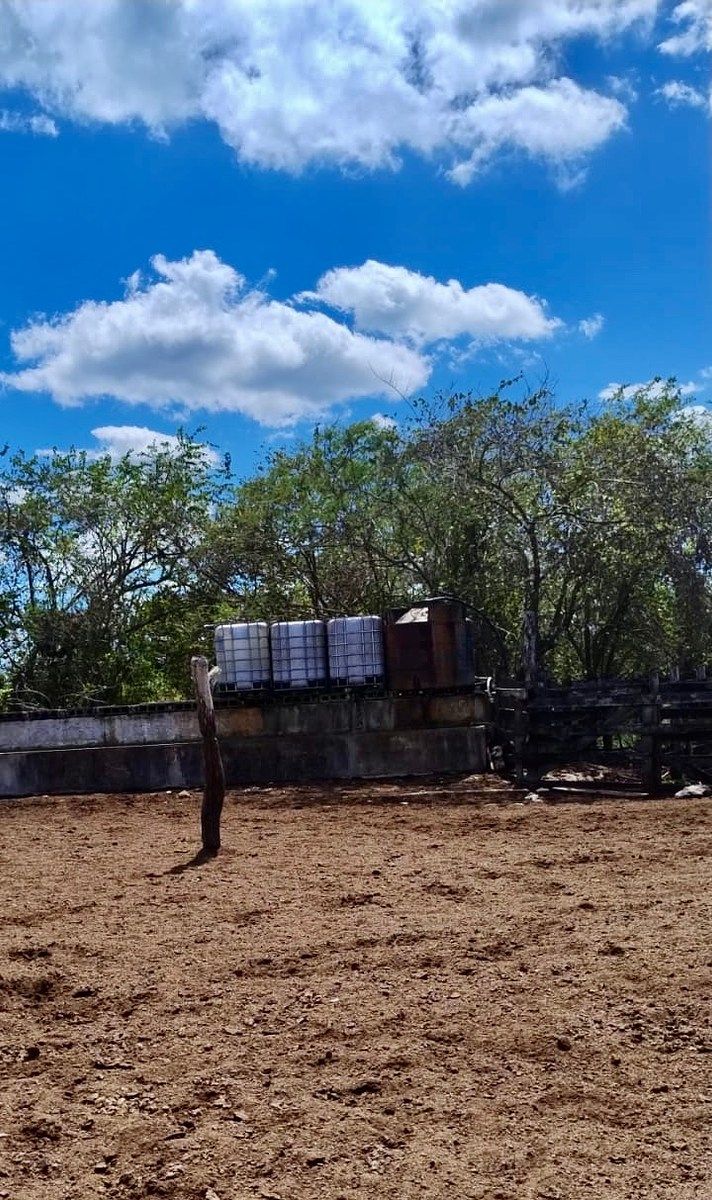 Rancho en Rio Lagartos, Río Lagartos, foto 7 de 12