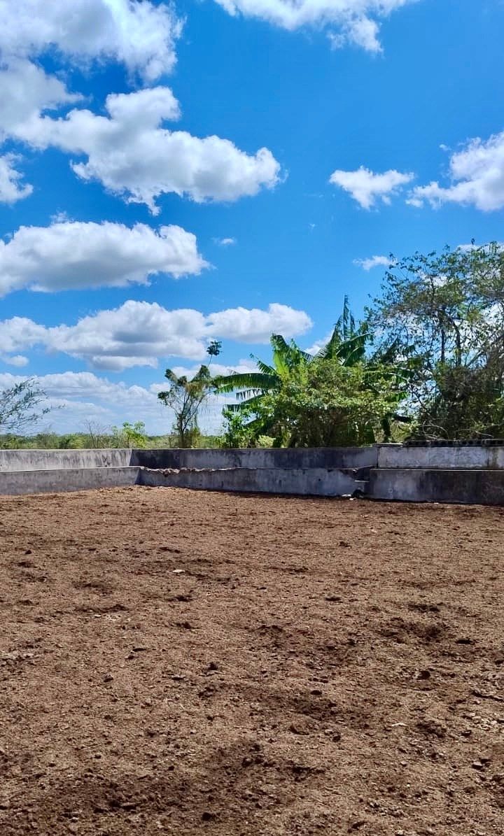 Rancho en Rio Lagartos, Río Lagartos, foto 8 de 12