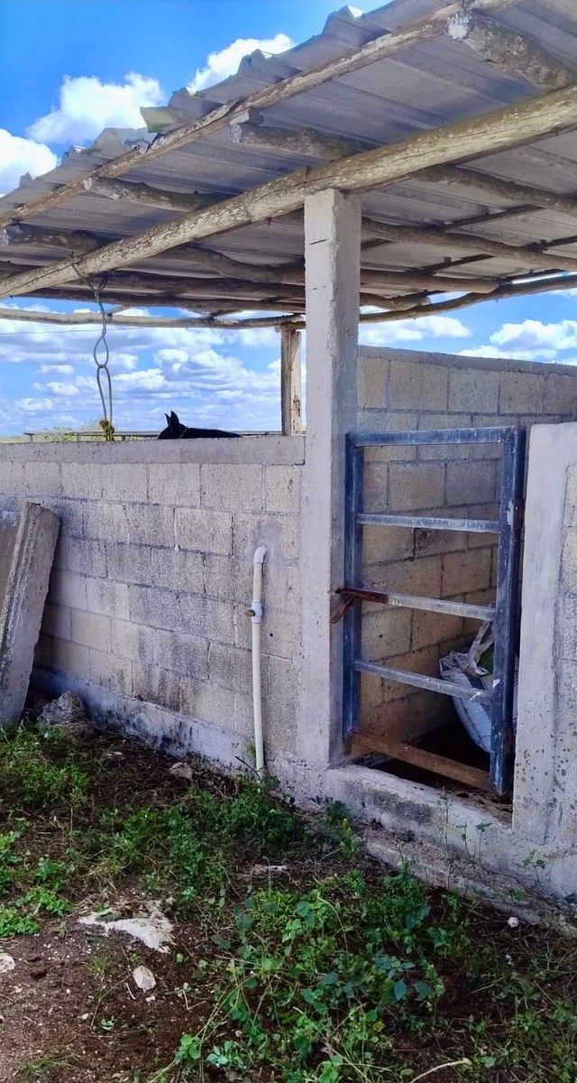 Rancho en Rio Lagartos, Río Lagartos, foto 9 de 12