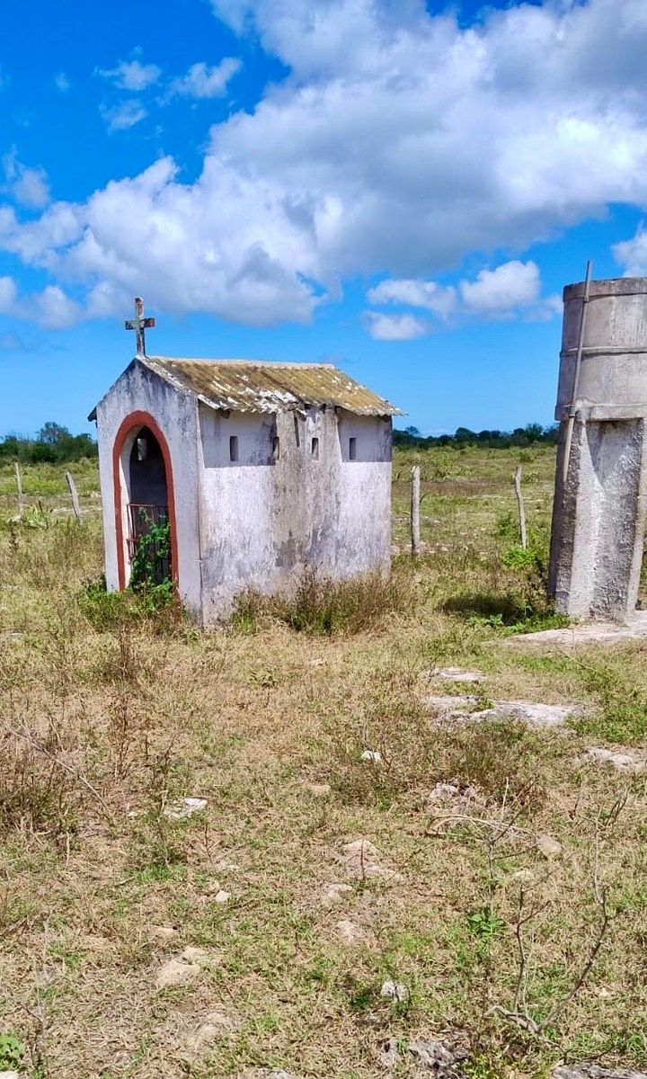 Rancho en Rio Lagartos, Río Lagartos, foto 10 de 12
