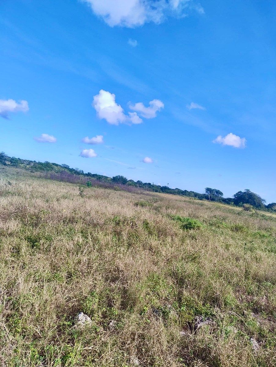 Rancho en Rio Lagartos, Río Lagartos, foto 12 de 12