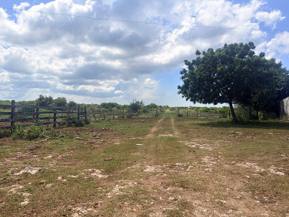 Rancho en Rio Lagartos, Río Lagartos, foto 17 de 30