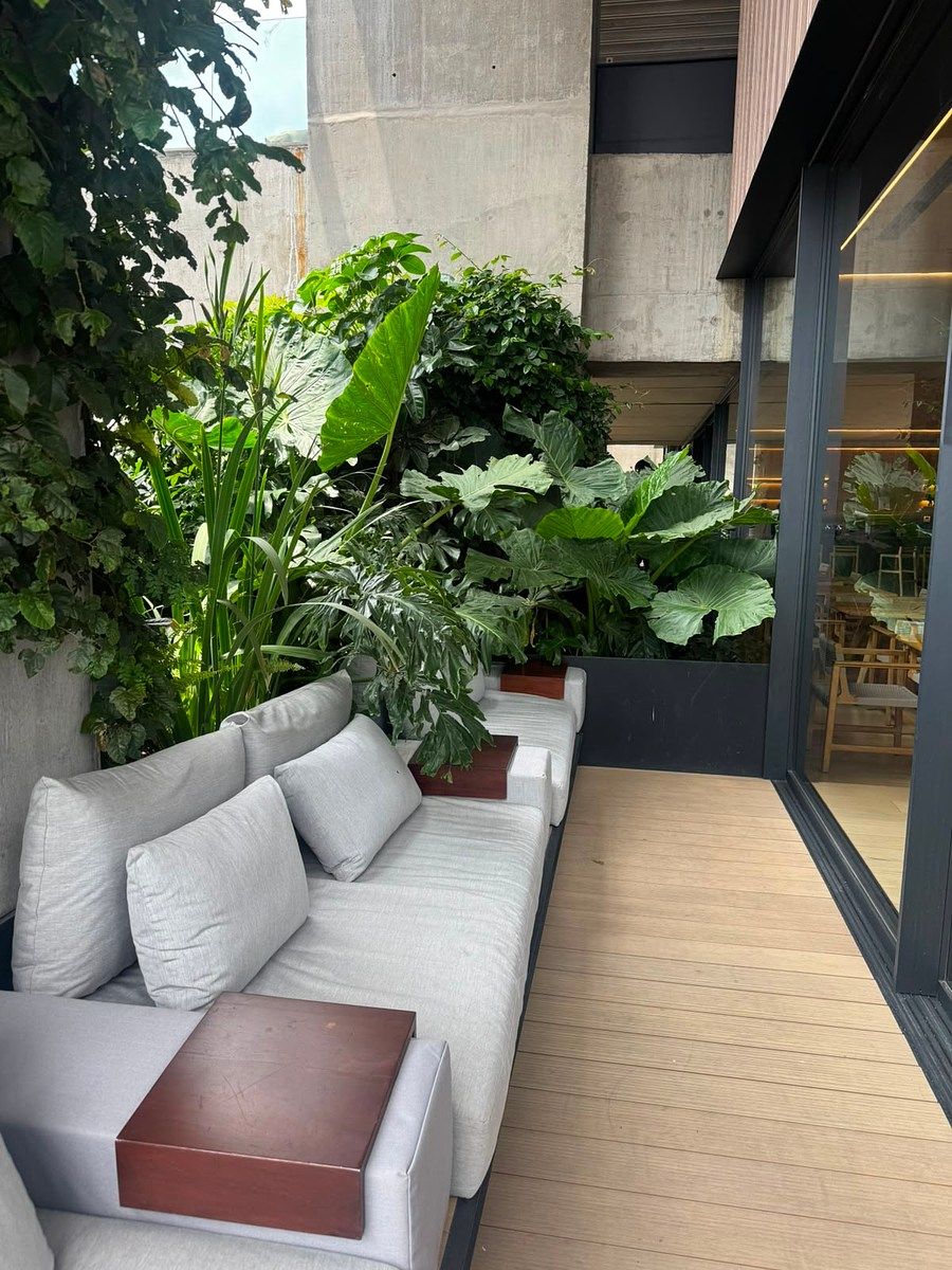 Departamento en Juárez, Cuauhtémoc, foto 18 de 23