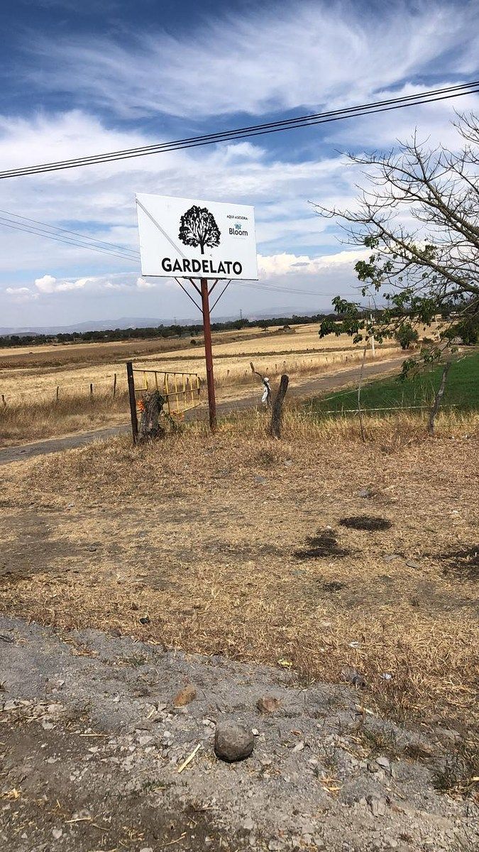 Terreno en San Martín de Zula, Ocotlán, foto 14 de 14
