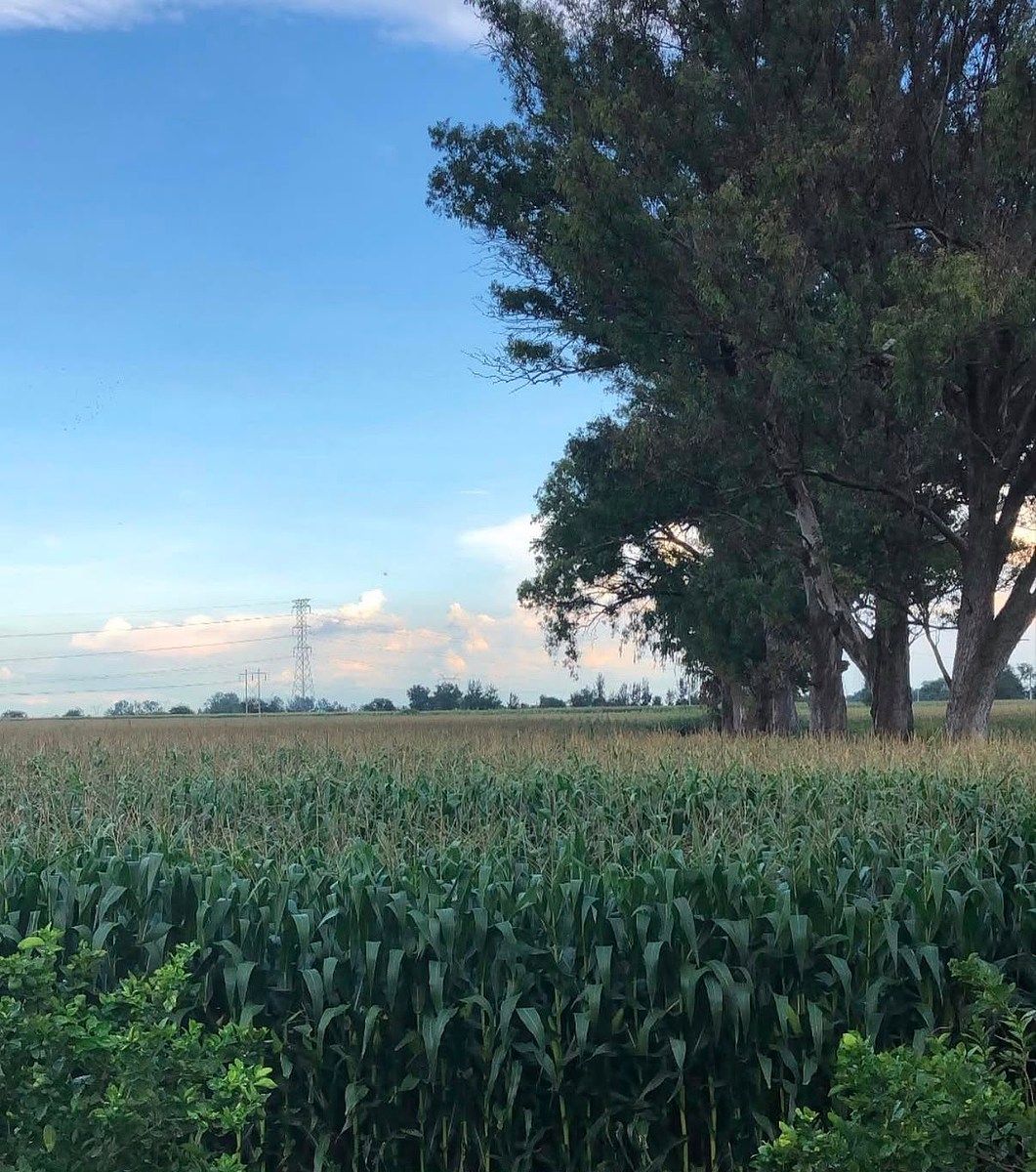Terreno en San Martín de Zula, Ocotlán, foto 8 de 14