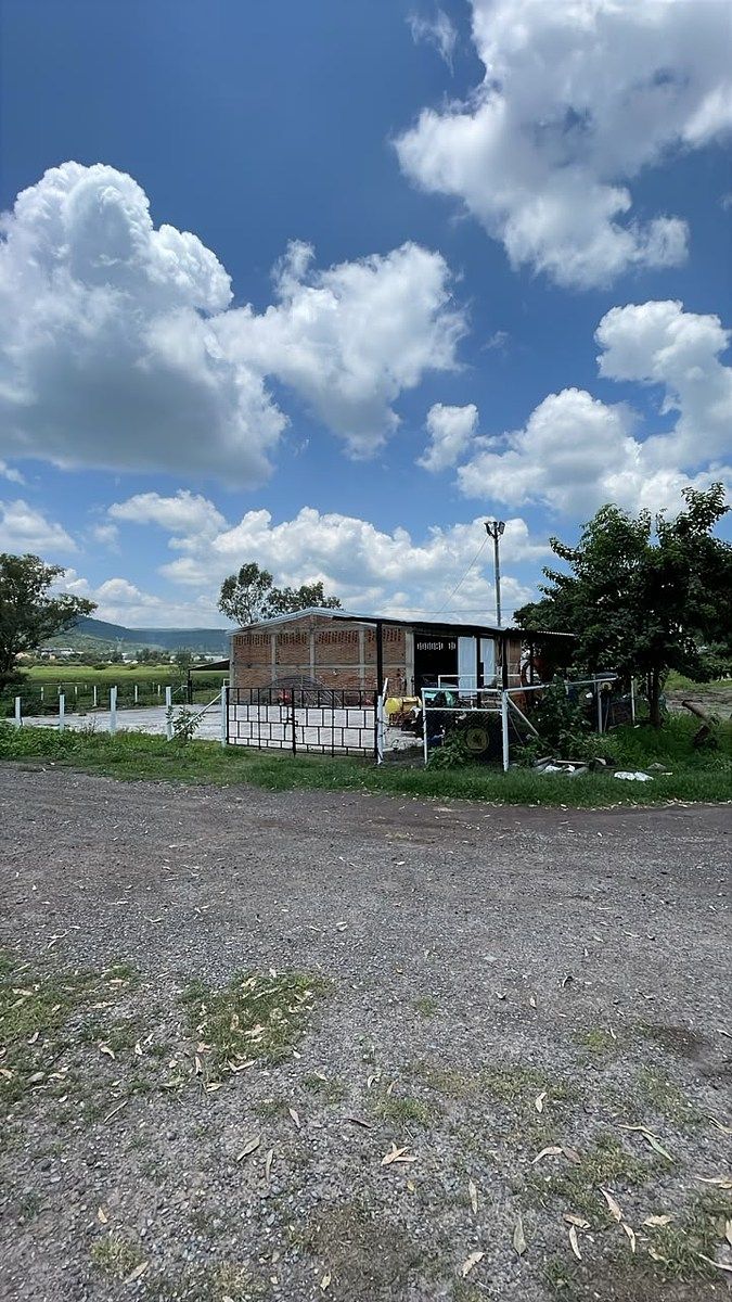 Terreno en San Martín de Zula, Ocotlán, foto 13 de 14