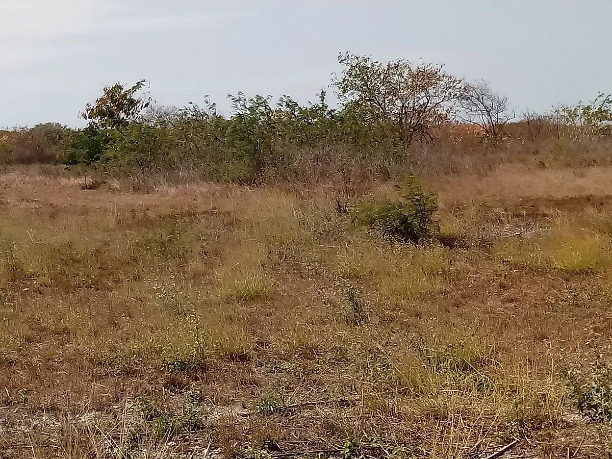 Lote em Campestre Flamboyanes, Progreso, foto 9 de 10