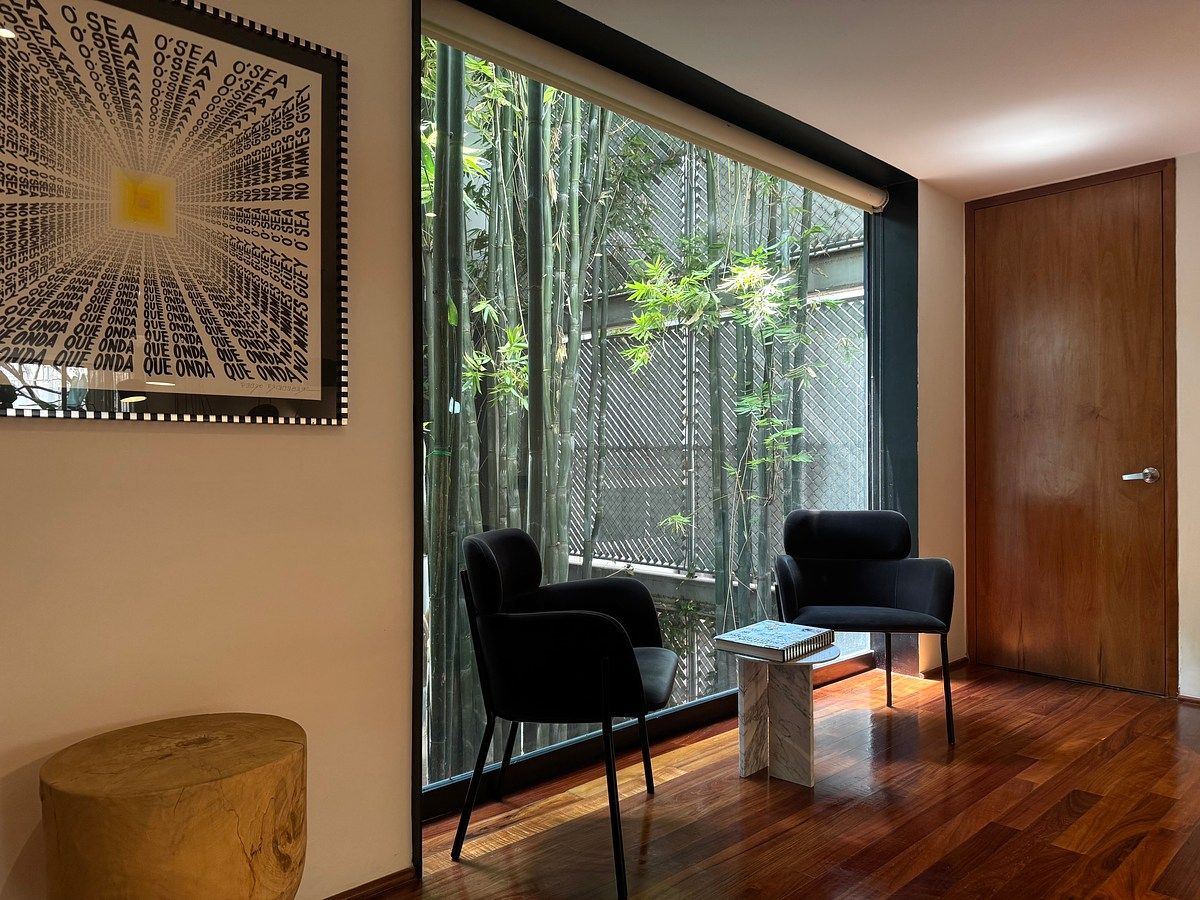 Apartment in Polanco V Sección, Miguel Hidalgo, photo 2 of 22